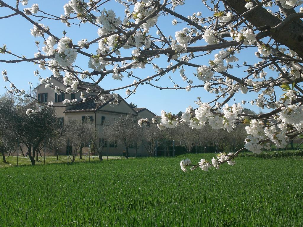 Bed and Breakfast I Ciliegi Osimo Exterior foto