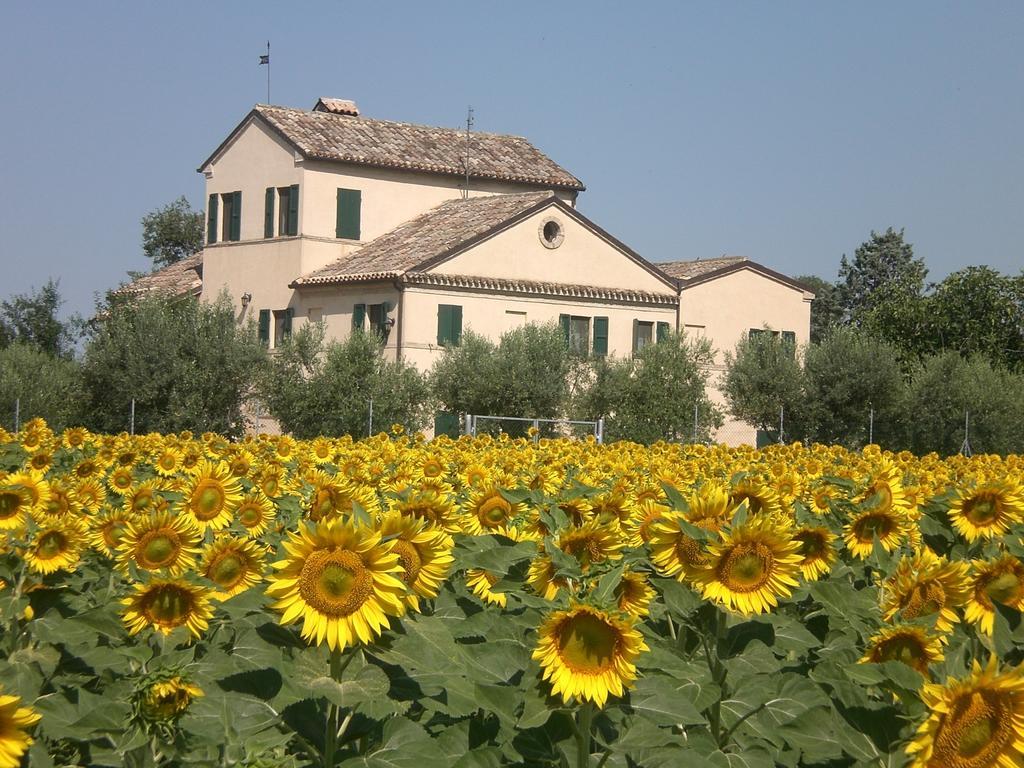 Bed and Breakfast I Ciliegi Osimo Exterior foto