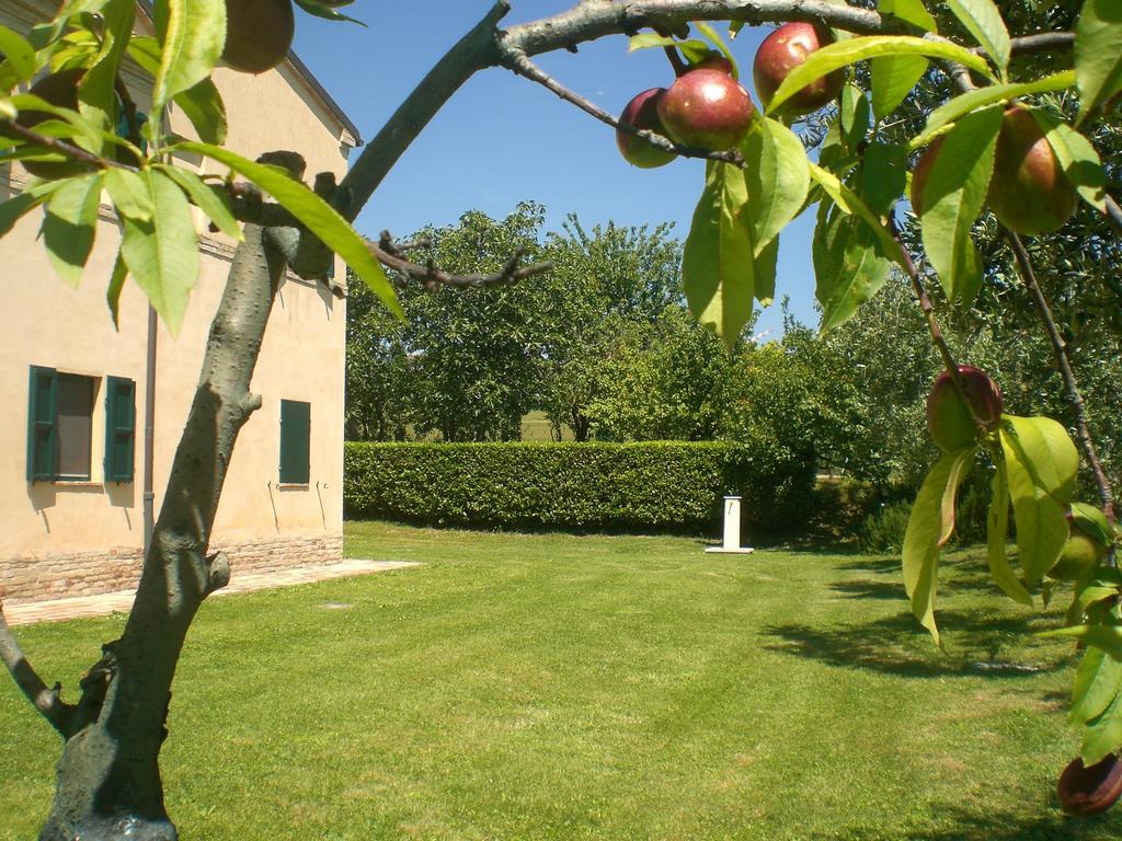 Bed and Breakfast I Ciliegi Osimo Exterior foto