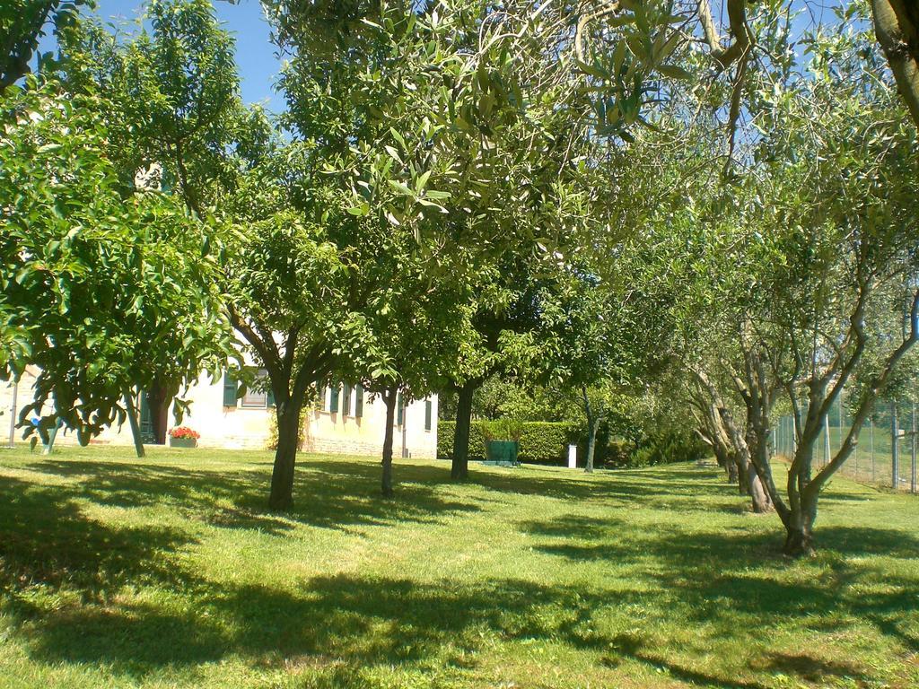 Bed and Breakfast I Ciliegi Osimo Exterior foto