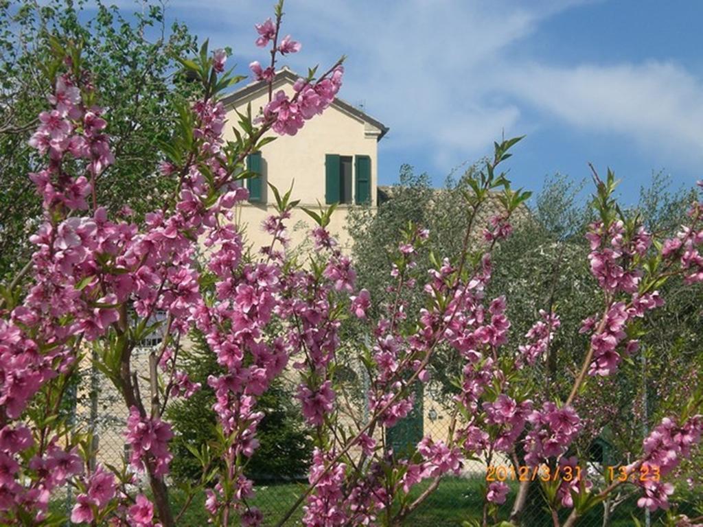 Bed and Breakfast I Ciliegi Osimo Exterior foto