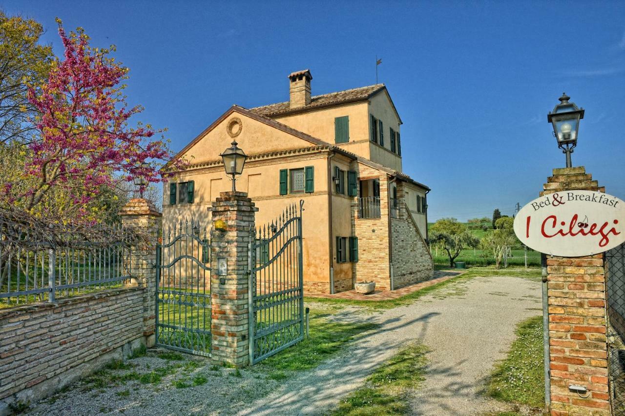 Bed and Breakfast I Ciliegi Osimo Exterior foto