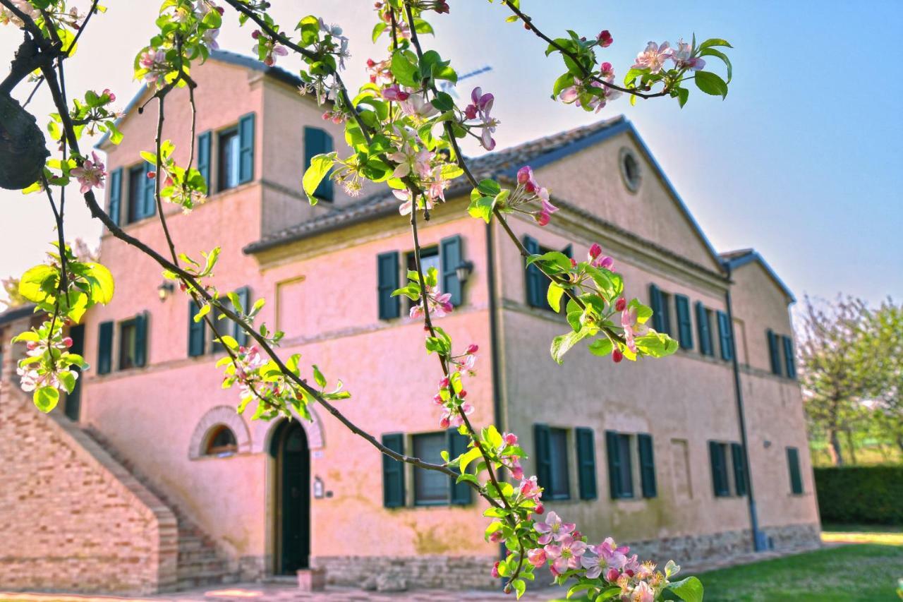 Bed and Breakfast I Ciliegi Osimo Exterior foto