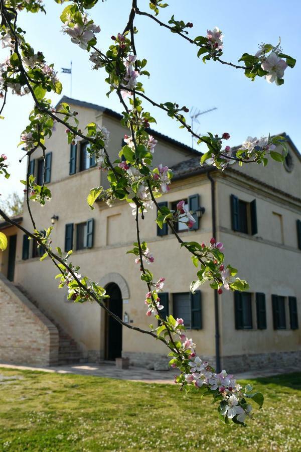 Bed and Breakfast I Ciliegi Osimo Exterior foto