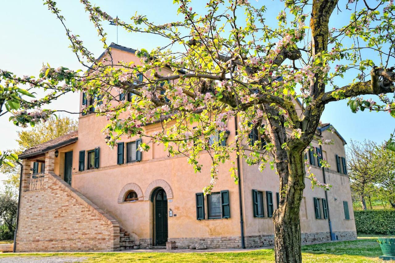 Bed and Breakfast I Ciliegi Osimo Exterior foto