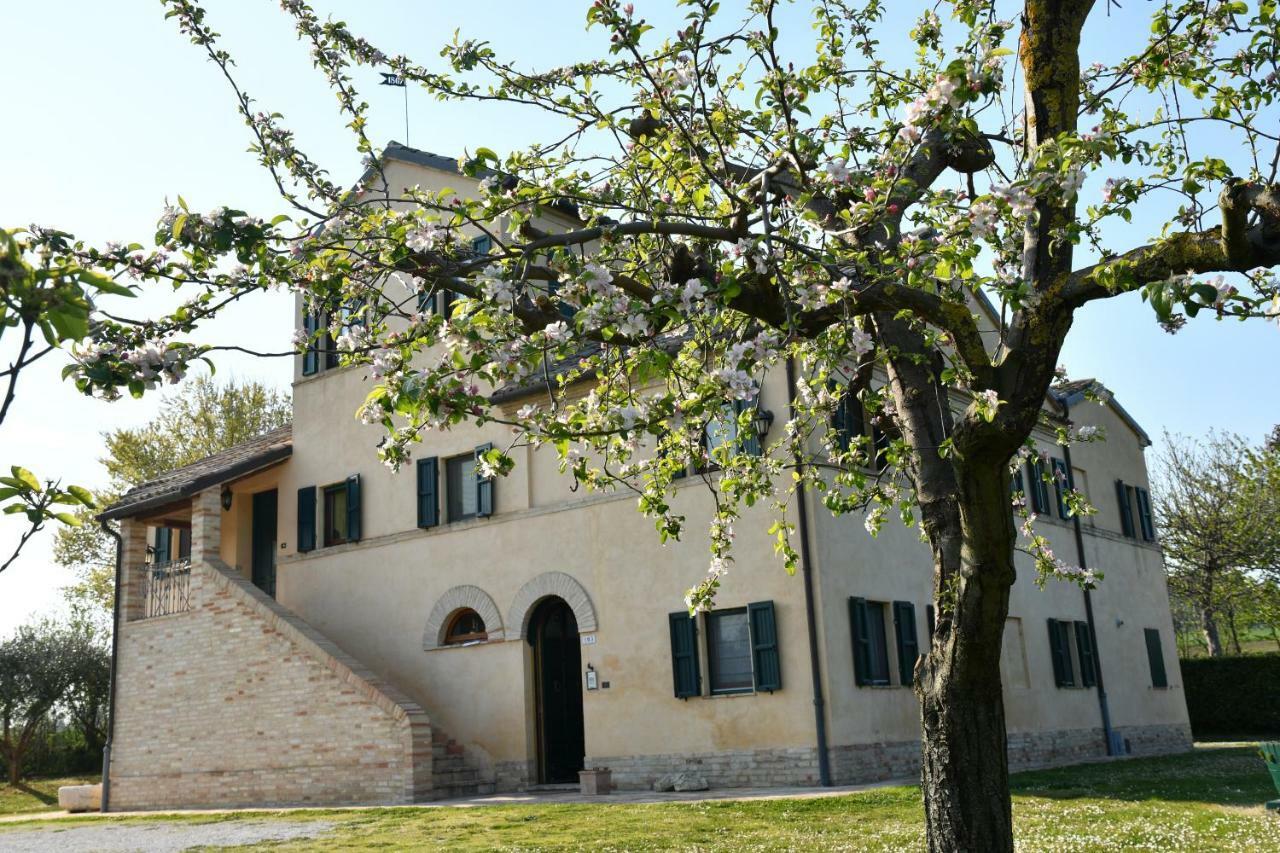 Bed and Breakfast I Ciliegi Osimo Exterior foto